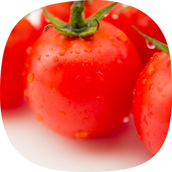 片品名産のトマト